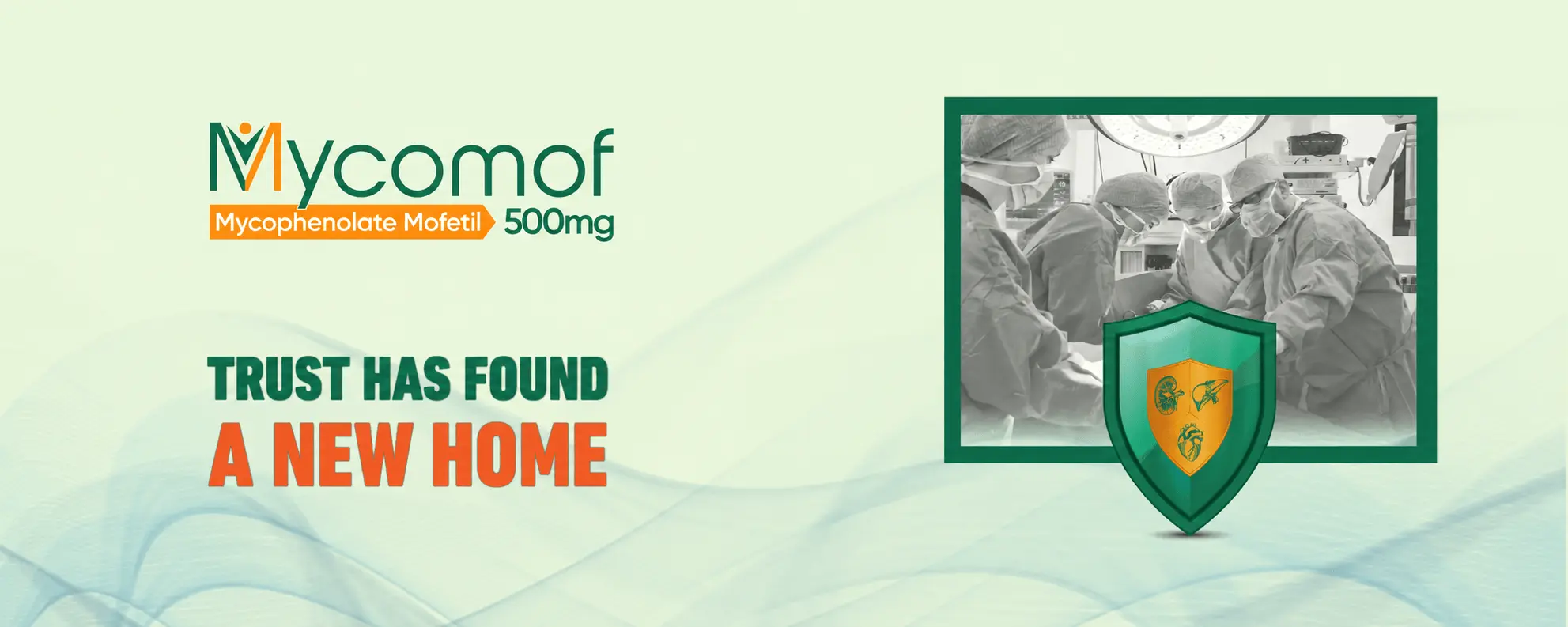 Mycomof mycophenolate mofetil 500mg — Trust has found a new home.